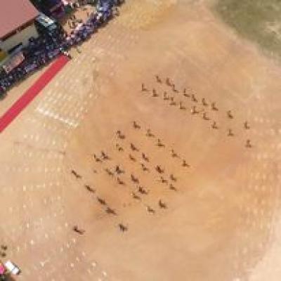 83799816 2779490692164182 1943382777709723648 N