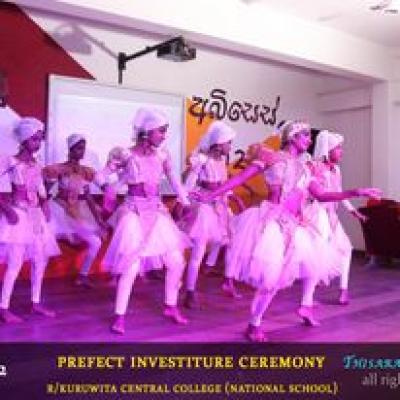 310060435 538219351637547 968552902517459345 N Copy